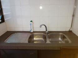 Sims Avenue (D14), Apartment #473019141